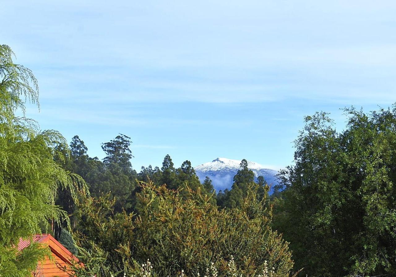 Maydena Mountain Cabins Buitenkant foto