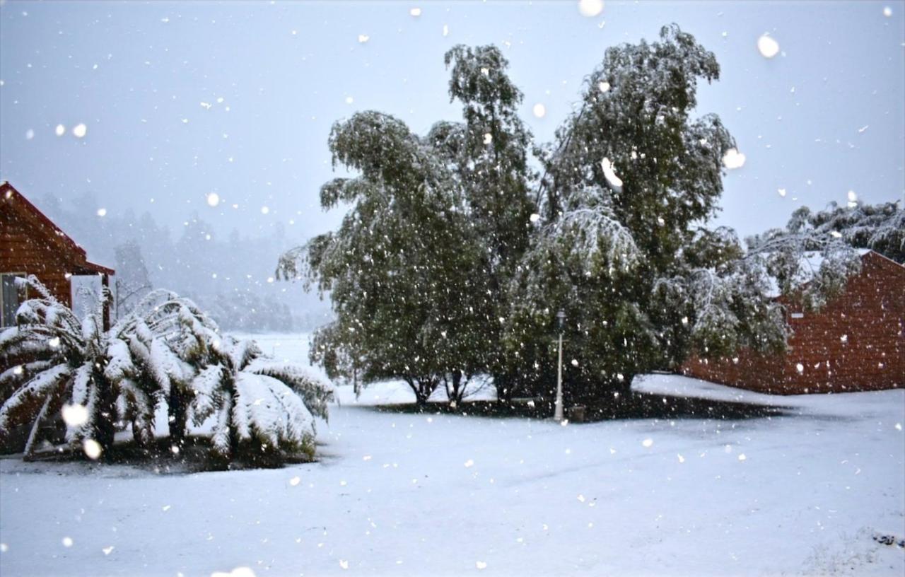 Maydena Mountain Cabins Buitenkant foto