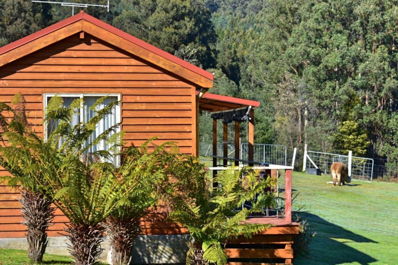 Maydena Mountain Cabins Buitenkant foto