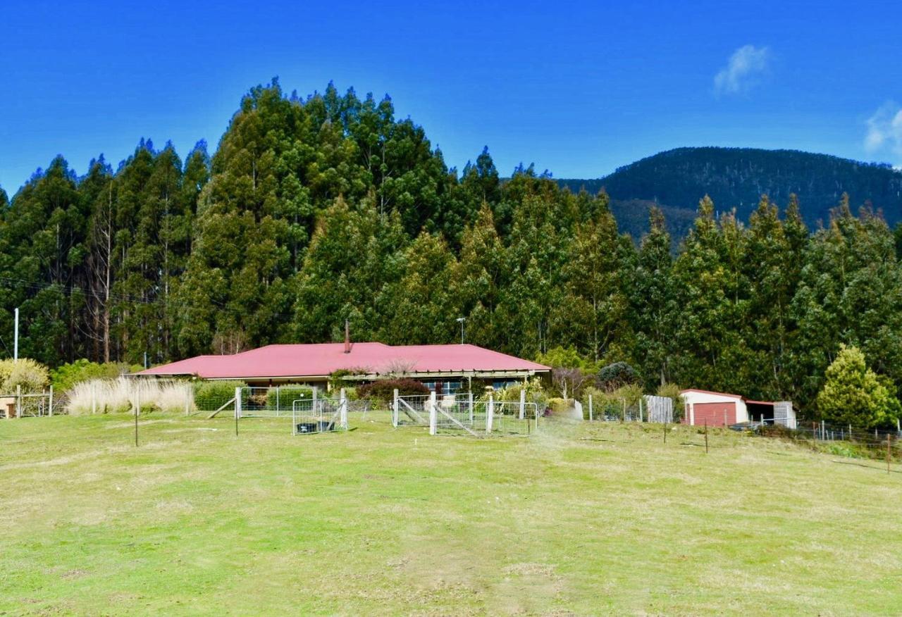 Maydena Mountain Cabins Buitenkant foto